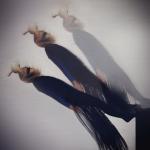 STREB COLLECTION - Alillon Education Art Team STREB COLLECTION - Alillon Education Art Team