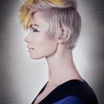 STREB COLLECTION - Alillon Education Art Team STREB COLLECTION - Alillon Education Art Team