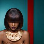 Black Beauty 2013 - kolekcja Coiffeur en France