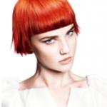 Kolory piękna - Infinity - kolekcja Marka Lessona z FPA Kolory piękna - Infinity - kolekcja Marka Lessona z FPA