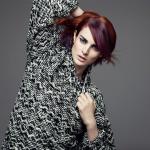 ELEGANT EDGE - GOLDWELL Color Zoom 2015 - Traditional Rebels ELEGANT EDGE - GOLDWELL Color Zoom 2015 - Traditional Rebels