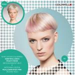 METAMORFOZY W COLOR ZOOM 2014 REALLUSION METAMORFOZY W COLOR ZOOM 2014 REALLUSION