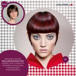 METAMORFOZY W COLOR ZOOM 2014 REALLUSION METAMORFOZY W COLOR ZOOM 2014 REALLUSION