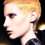 Mark Leeson – Spotlight - BHA Winning Collection 2014 Mark Leeson – Spotlight - BHA Winning Collection 2014
