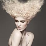 Charles Douek - kolekcja Charles Douek - kolekcja