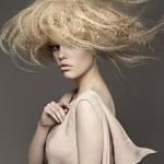 Charles Douek - kolekcja Charles Douek - kolekcja