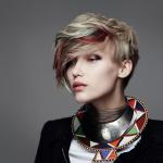 REINVENTED TRIBAL - GOLDWELL Color Zoom 2015 - Traditional Rebels REINVENTED TRIBAL - GOLDWELL Color Zoom 2015 - Traditional Rebels