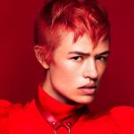 Rubinowa - R.R.I. czerwień, strzyżenie, ostra stylizacja, modne kolory, suzi, FRK.03, FRK,01