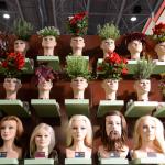 TOP HAIR International Trend & Fashion Days Düsseldorf 2015 TOP HAIR International Trend & Fashion Days Düsseldorf 2015