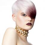 Steve Rowbottom, Westrow - collection Envision Steve Rowbottom, Westrow - collection Envision