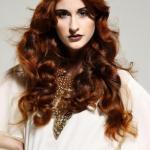 Paterson SA Collection Paterson SA Collection