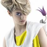 fryzury: Neil Barton, fot. Stuart Weston inspiracja, natura, baza stylisty, kolor, forma, linie projektu, wizualizacja, abcfryzjera