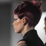 Pokaz techniczny Saco w 2013 - Salon International Pokaz techniczny Saco w 2013 - Salon International